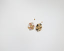 Multi - tone Earrings