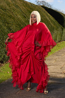 Ayanmoire Red Elegant Dress